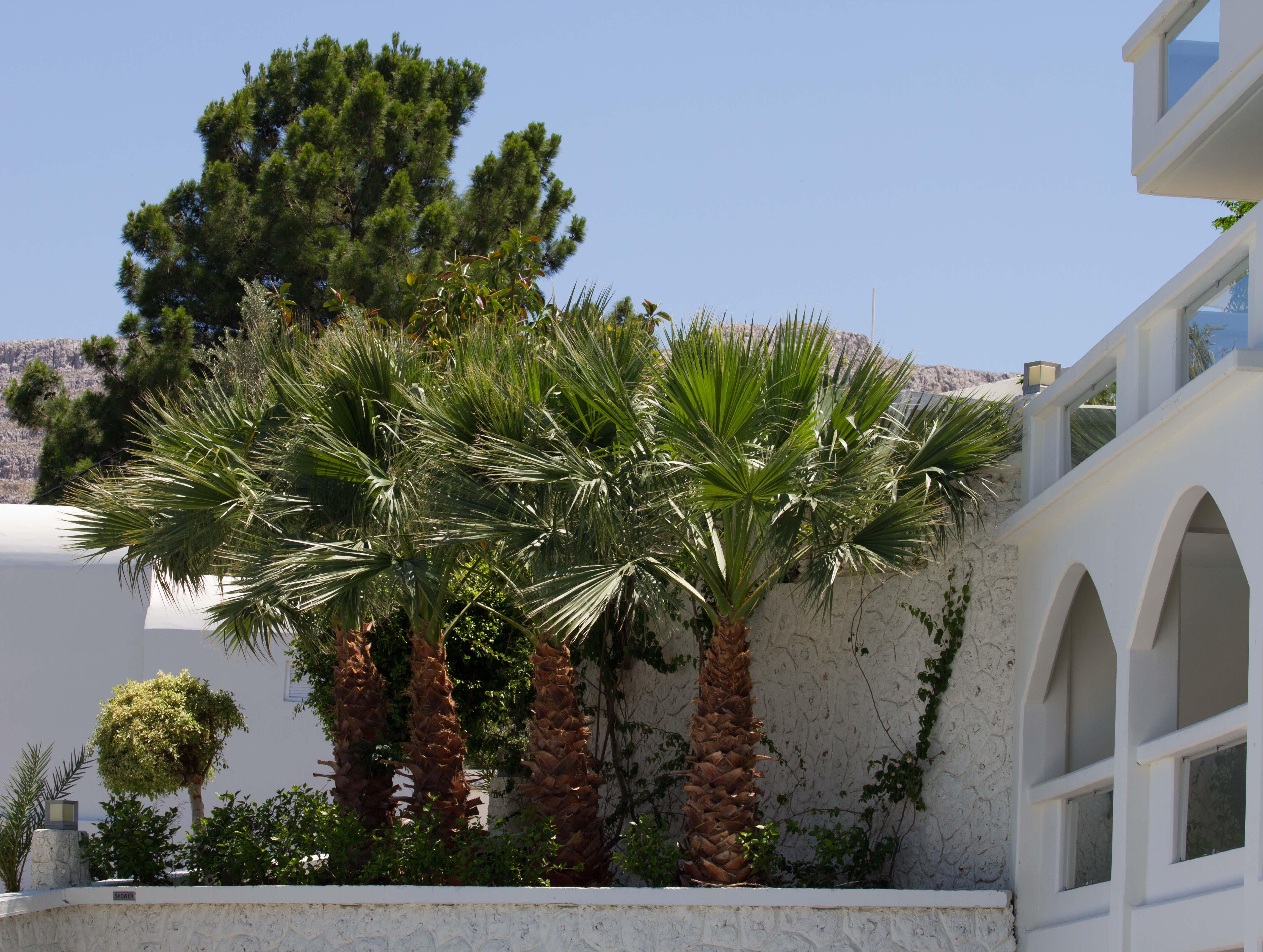Lindos White Hotel & Suites ภายนอก รูปภาพ
